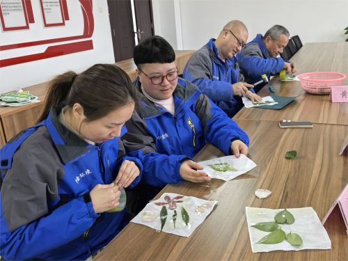 開展“植物拓印”DIY活動現場-2.jpg